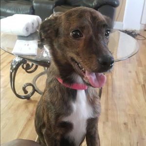 Meet your Posher, Andre